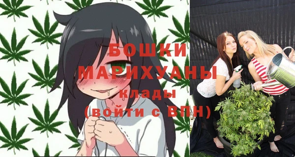 apvp Вязники