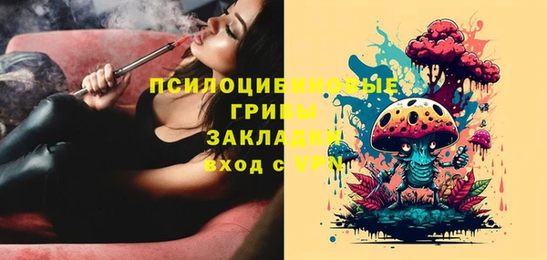 дмт Семёнов